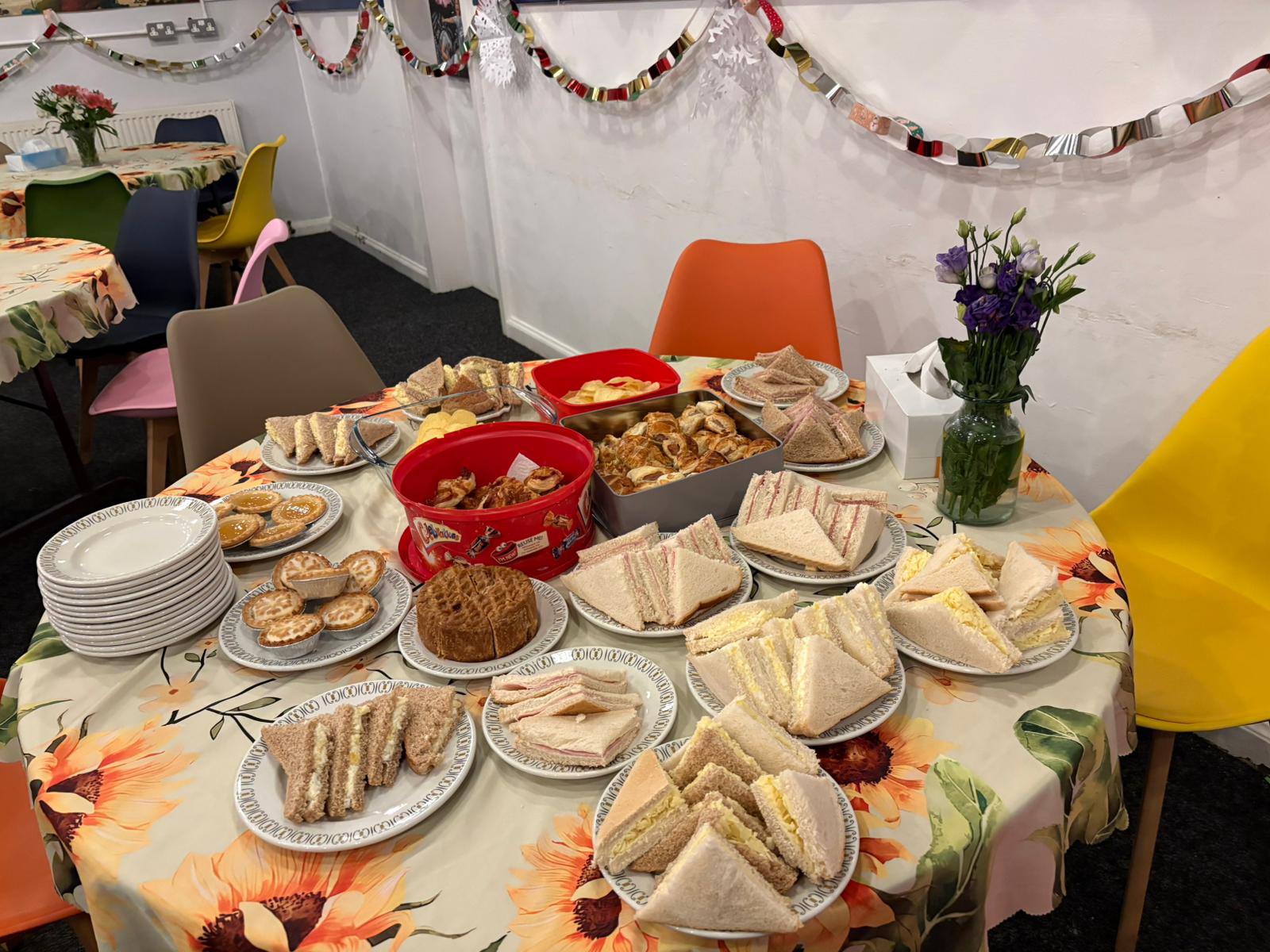 Healthcare support program